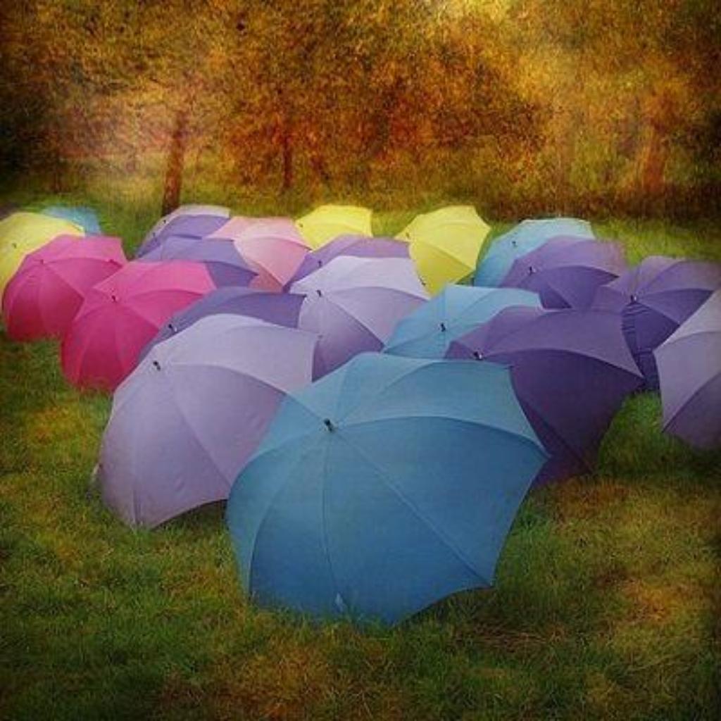 umbrellas-2938682_640 (pixabay)